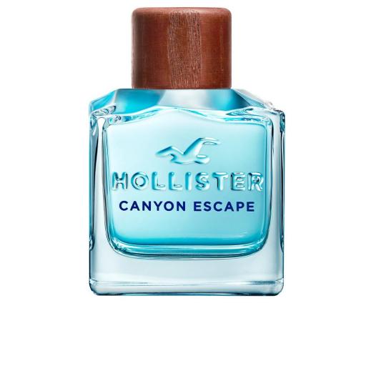 CANYON ESCAPE FOR HIM - HOLLISTER