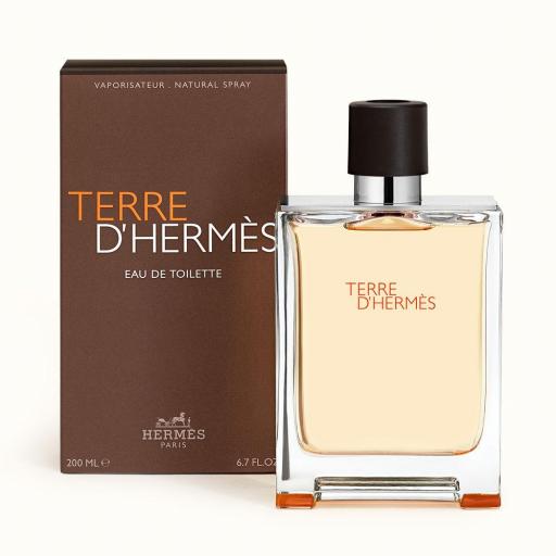 TERRE D'HERMÈS eau de toilette vaporizador 
