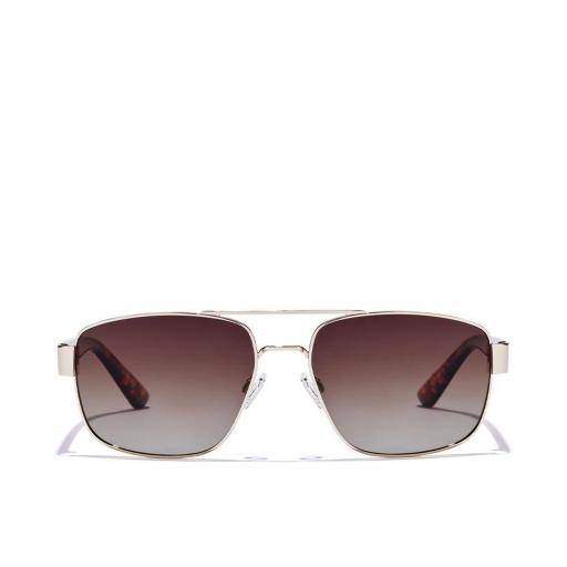 FALCON polarized  [1]