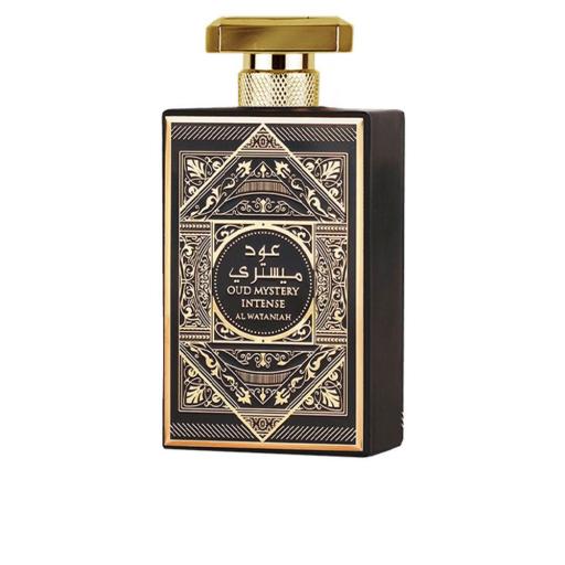 OUD MYSTERY INTENSE edp vapo 100 ml [0]