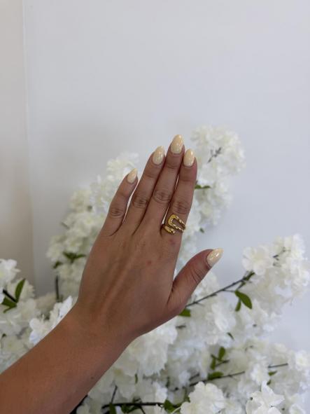 Anillo Melani [0]