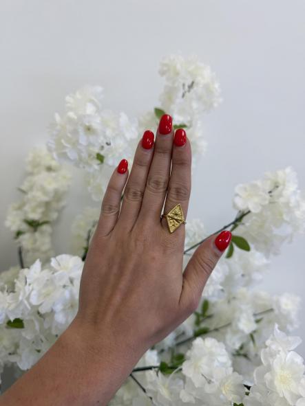 Anillo Ani [0]