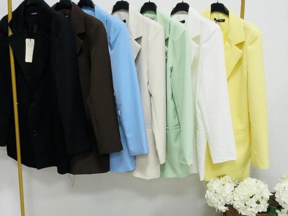 Blaizer masculina  [1]