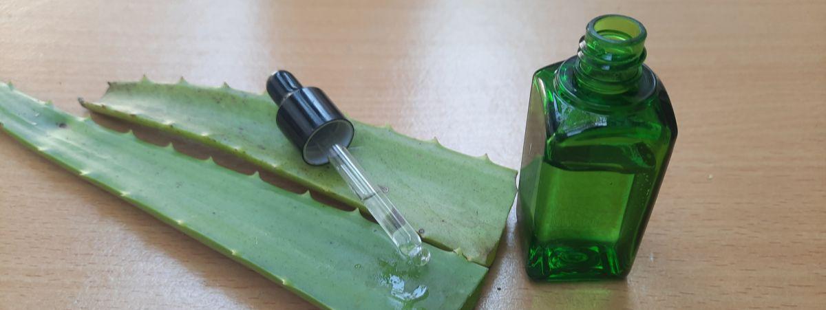 Beneficios del Aloe Vera en los Productos Gel SinDolor