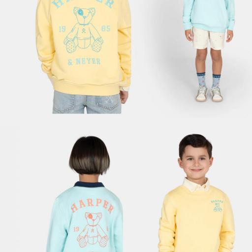 Sudadera Arthur kids 