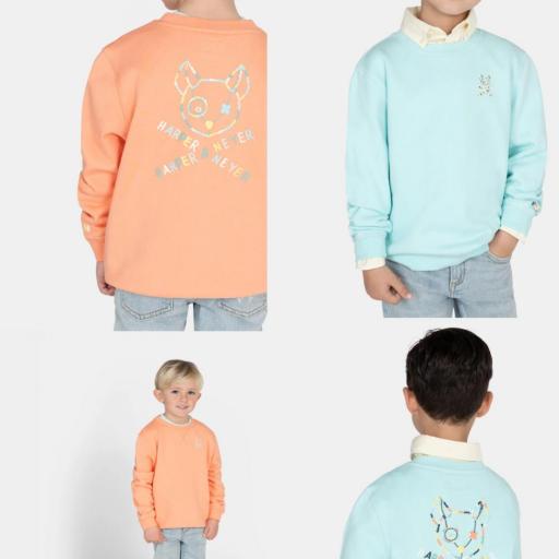 Sudadera Pirate  kids 