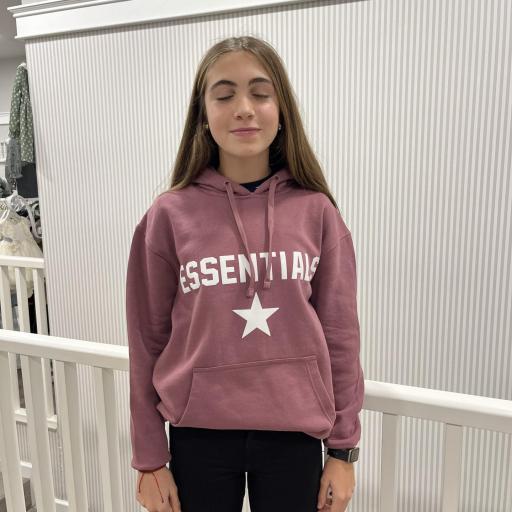 Sudadera capucha unisex