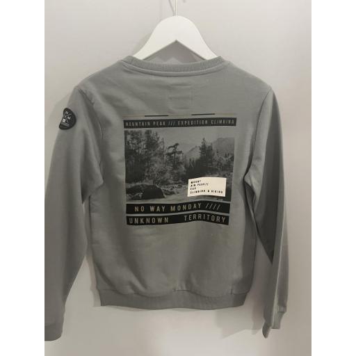 Sudadera chico  [1]