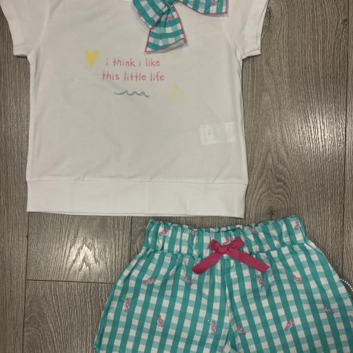 Conjunto caballito de mar  [0]