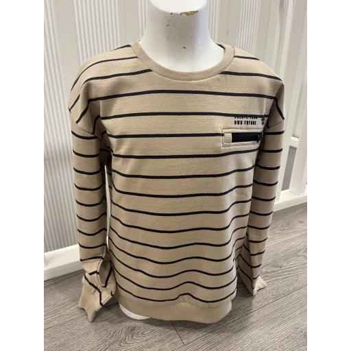 Sudadera arena 