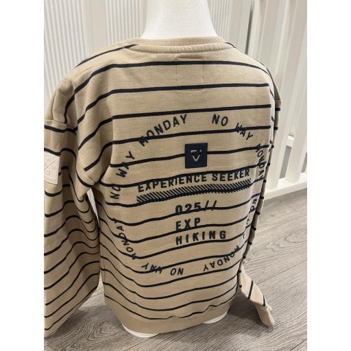 Sudadera arena  [1]
