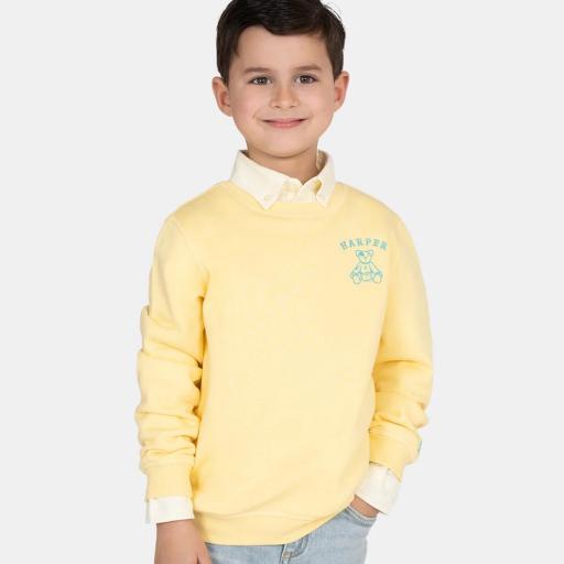 Sudadera Arthur kids  [2]