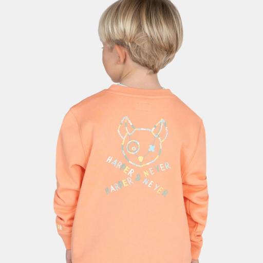 Sudadera Pirate  kids  [2]