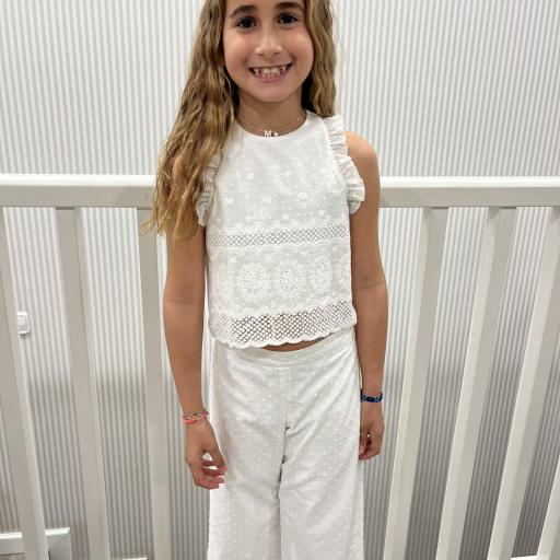 Conjunto plumeti  [1]