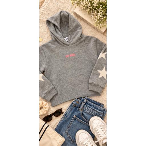 Sudadera gris  [2]