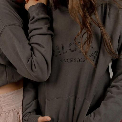 Sudadera Hoddie marrón strass  [0]