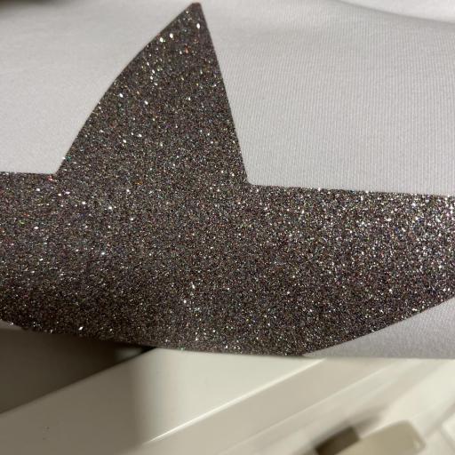 Hoddie estrella glitter  [1]