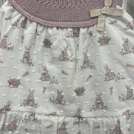 Jesusito plumeti  [0]