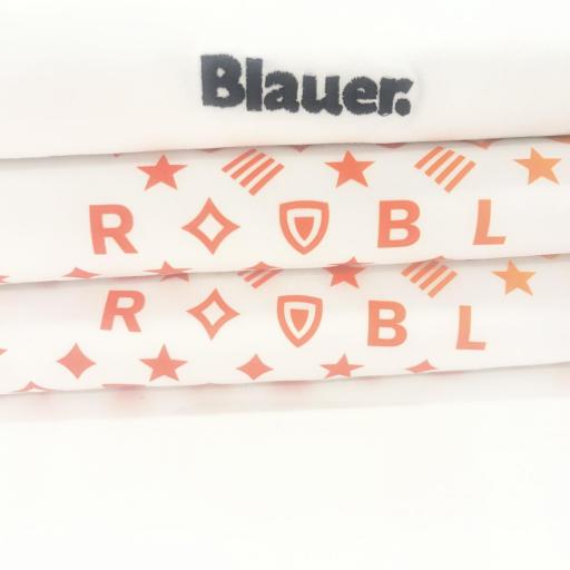 Camiseta logo bordado Blauer  [2]