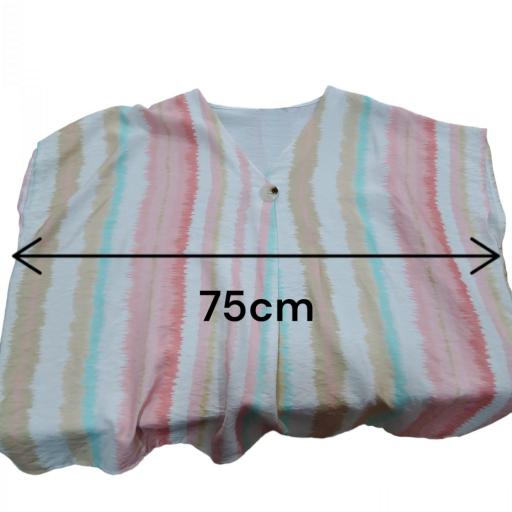 CAMISA RAYA COLORES [1]