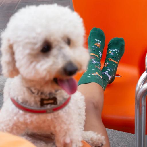Calcetines "Amor Perruno" Doglover de UO [1]