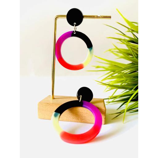 Aretes multicolor de Lady Cactus