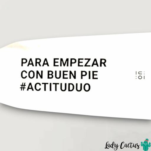 Calcetines “Mamá Oso” de UO [6]