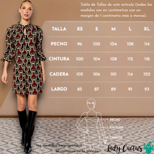 Vestido Aurora de Minueto [4]
