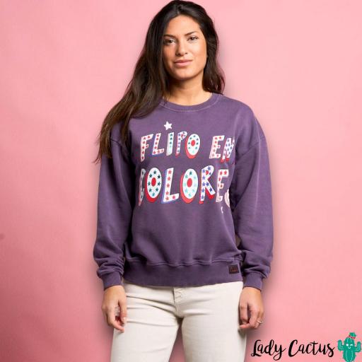 Sudadera Flipo en Colores Anabel Lee [0]