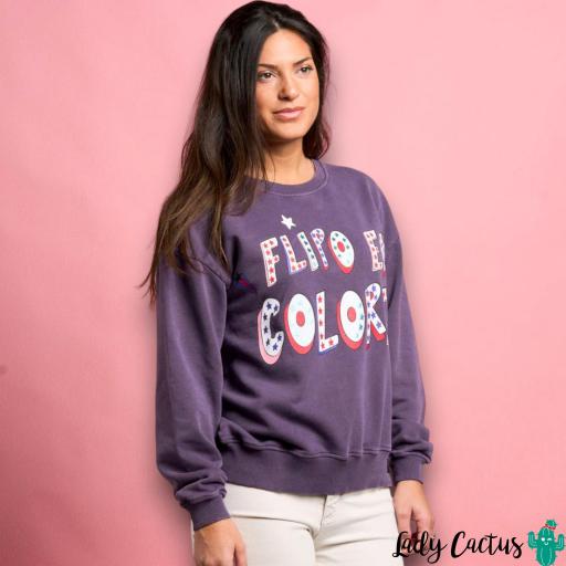 Sudadera Flipo en Colores Anabel Lee [2]