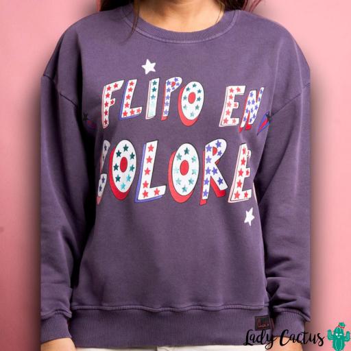 Sudadera Flipo en Colores Anabel Lee [4]