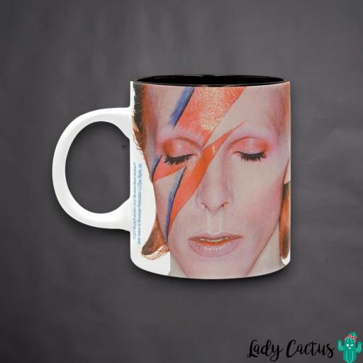 taza-aladdin-sane [3]