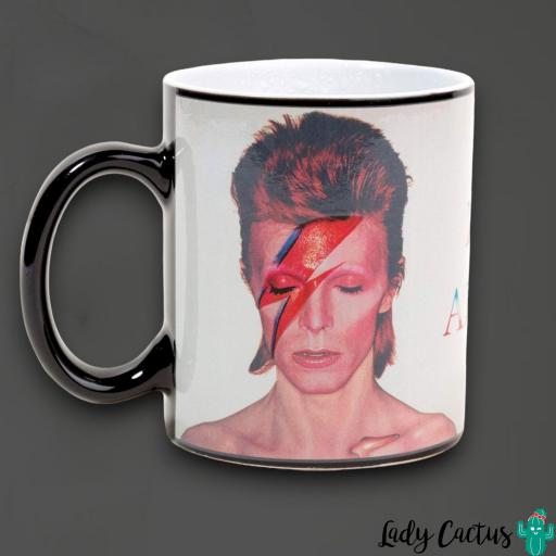 taza-aladdin-sane [4]