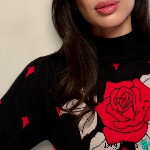 Vestido Roso Minueto [5]