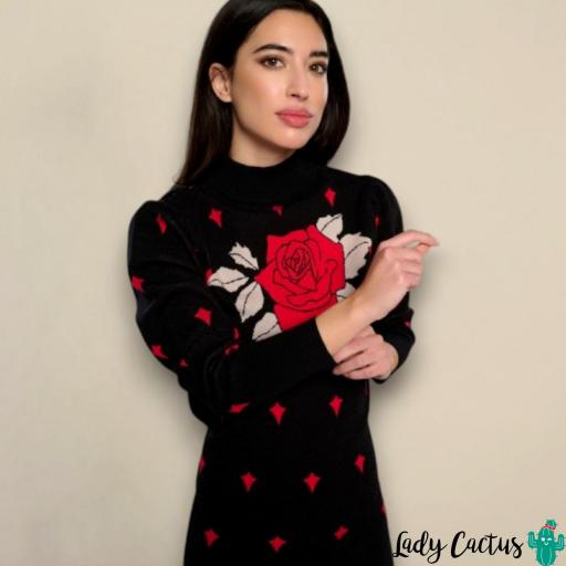 Vestido Roso Minueto [1]