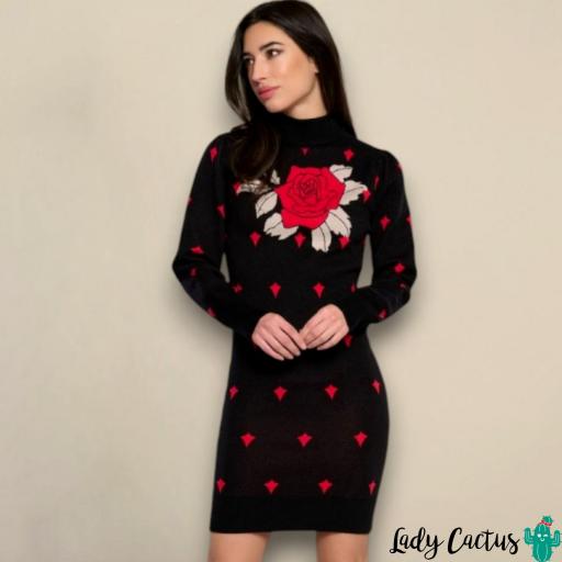 Vestido Roso Minueto