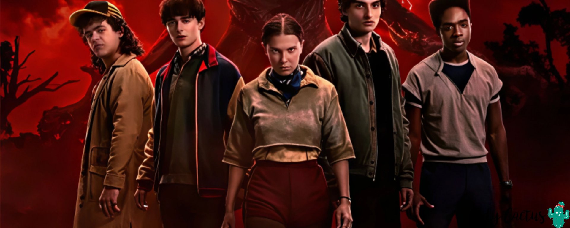 tiendaladycactus-marcas-por-categoria