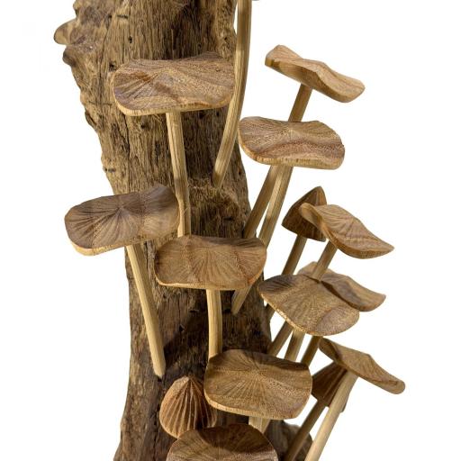 Setas de madera [1]