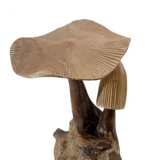 Setas de madera [1]