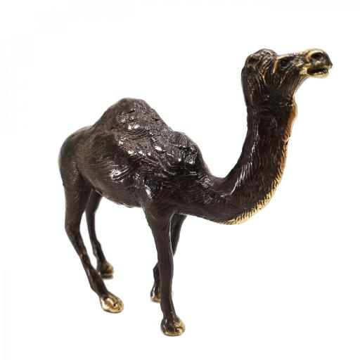 Camello de bronce [3]