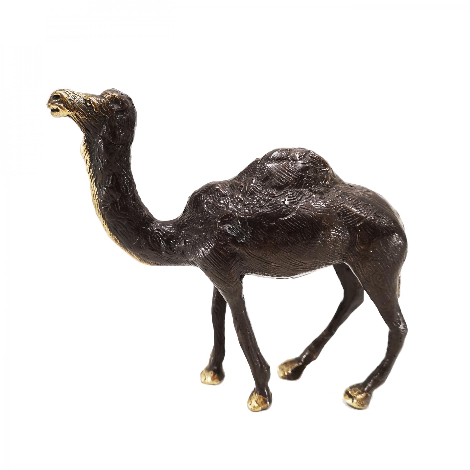 Camello de bronce - 13 cm