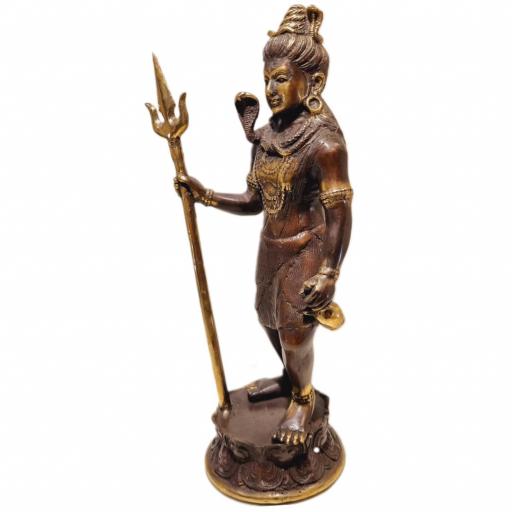 Shiva de bronce [1]