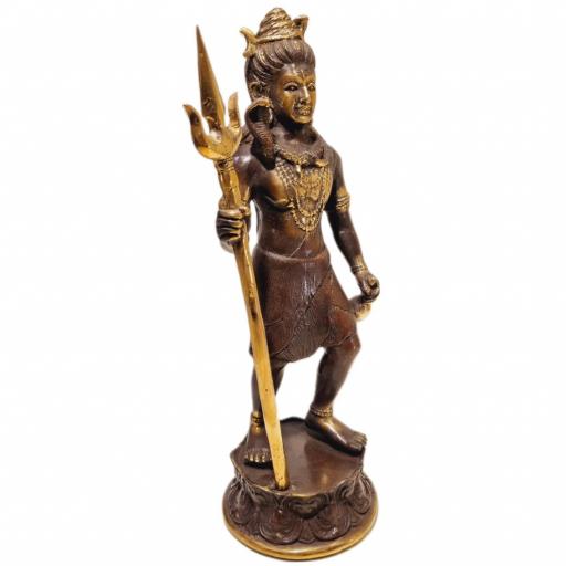 Shiva de bronce [2]