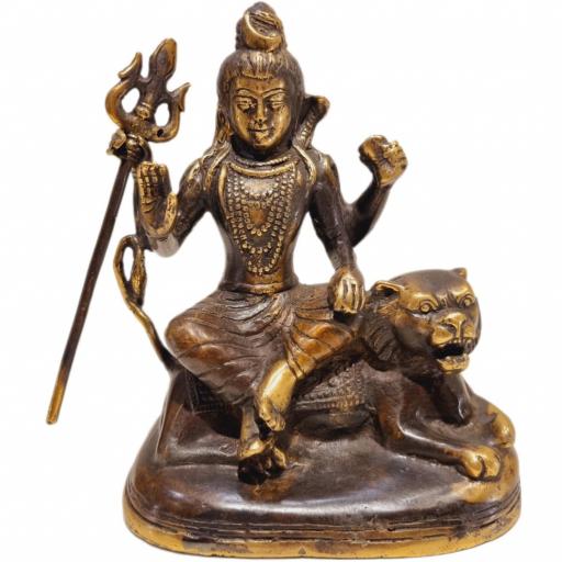 Shiva de bronce