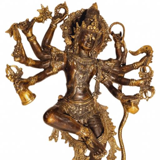 Shiva de bronce [4]