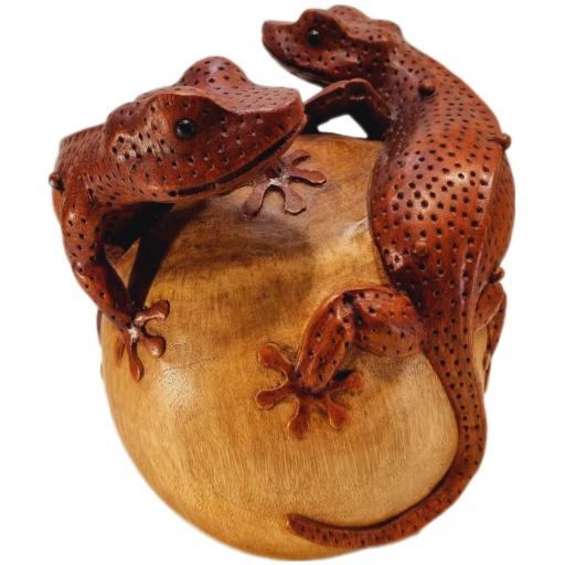 Geko de madera | Lagarto  [2]