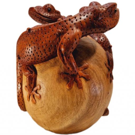 Geko de madera | Lagarto  [1]