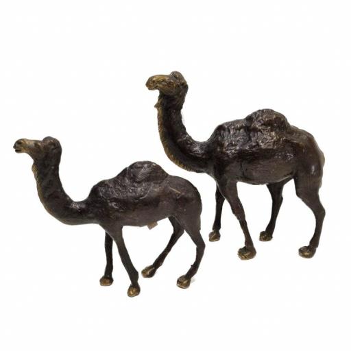 Camello de bronce [1]