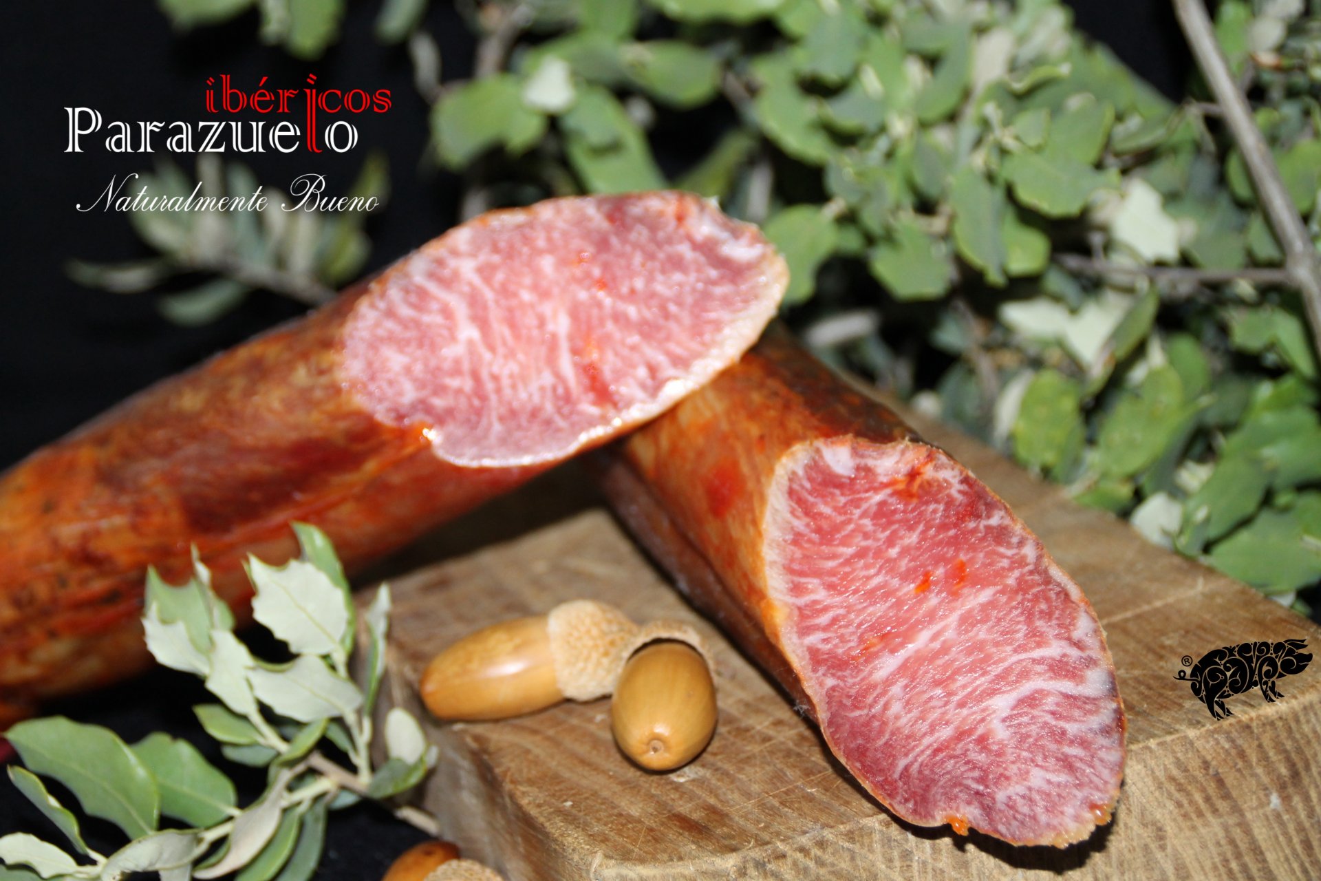 LOMO BELLOTA PARTIDO LOGO®.jpg