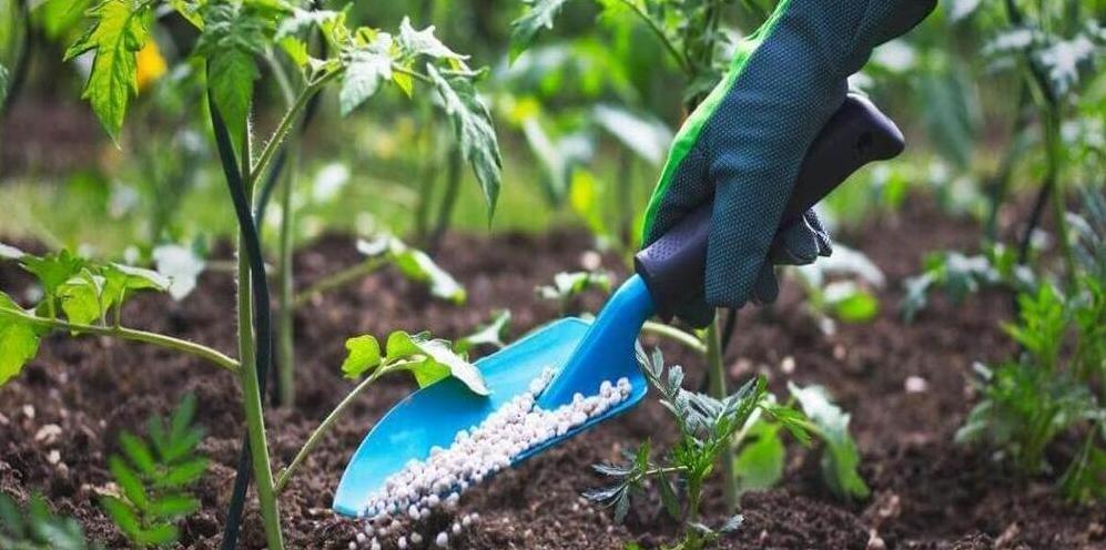Abonos y fertilizantes